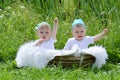 Twins in basket Royalty Free Stock Photo