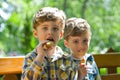 Twins eating ice cream Royalty Free Stock Photo