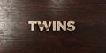 Twins - grungy wooden headline on Maple - 3D rendered royalty free stock image
