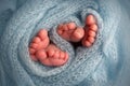 Twins are infants. A close-up photo of the legs of newborn twins Royalty Free Stock Photo