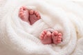 Twins are infants A close-up photo of the legs of newborn twins on a white plaid Royalty Free Stock Photo