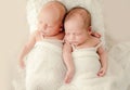 Twins newborn studio portrait