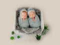 Twins newborn studio portrait