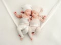Twins newborn studio portrait Royalty Free Stock Photo