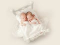 Twins newborn studio portrait