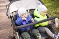 Twins in a pram in the park