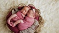 Twins sisters newborn in the winding and in a basket Royalty Free Stock Photo