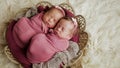 Twins sisters newborn in the winding and in a basket Royalty Free Stock Photo