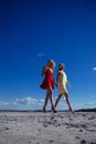 Twins in summer walk on blue sky background. Royalty Free Stock Photo