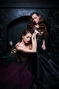 Twins young women in evening dresses, beauty portrait in dark interior