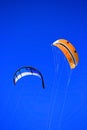 Twinskin and LEI kite Royalty Free Stock Photo