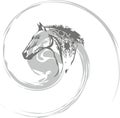 Gray horse swirl on a white backdrop for your creative ideas Royalty Free Stock Photo