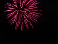 Pink twirling streams of fireworks light up black sky Royalty Free Stock Photo