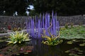 Purple flower piping by Chihuly blown glass at Asheville NC Biltmore gardens Royalty Free Stock Photo