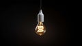 twist light bulb with cord