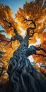 Twisted Autumn Tree: A Japanese-inspired National Geographic Photo