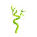 Twisted Bamboo Hollow Stem and Green Foliage Vector Illustration Royalty Free Stock Photo