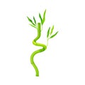 Twisted Bamboo Hollow Stem and Green Foliage Vector Illustration Royalty Free Stock Photo