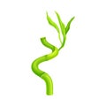 Twisted Bamboo Hollow Stem and Green Foliage Vector Illustration Royalty Free Stock Photo