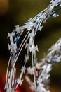 Twisted barbed wire like blades on a beautiful colored background. Royalty Free Stock Photo