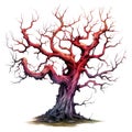 A Twisted, Bare Tree with Vivid Red and Purple Bark Royalty Free Stock Photo