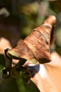 Dried leaf brown closeup Royalty Free Stock Photo