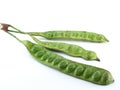 three pods of twisted cluster bean isolated on white background
