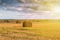 Twisted haystack on agriculture field landscape