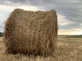 Twisted haystack in the field. Dry hay in the meadow is packed in a roll. Rural landscape collecting grass for animals