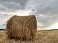 Twisted haystack in the field. Dry hay in the meadow is packed in a roll. Rural landscape collecting grass for animals
