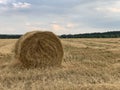 Twisted haystack in the field. Dry hay in the meadow is packed in a roll. Rural landscape, dry grass