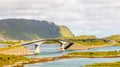 Twisted highway road with Freedvang bridges at the fjord, Lofoten island, Flakstad Municipality Nordland county, Norway