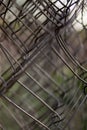 Twisted mesh. welded wire mesh twisted into a roll background. Royalty Free Stock Photo