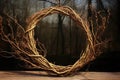 twisted natural vines fashioned into an empty solstice wreath
