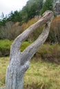 A twisted piece of driftwood resembles arms with clapsed hands