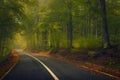 Twisted road used by tourists through a beautiful forest in the mountains during autumn