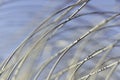 Twisted roll mesh netting Royalty Free Stock Photo