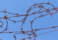 Twisted strands of barbed wire on sky background Royalty Free Stock Photo