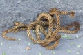 Twisted thick rope Royalty Free Stock Photo