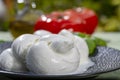 Twisted to form a plait treccia mozzarella Italian soft cheese served with fresh basil and tomatoes Royalty Free Stock Photo