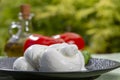 Twisted to form a plait treccia mozzarella Italian soft cheese served with fresh basil and tomatoes Royalty Free Stock Photo