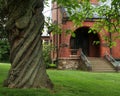 Twisted Tree and Town Library