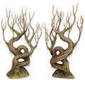 Twisted mossy trees Royalty Free Stock Photo