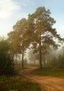 Twisting path in a fog