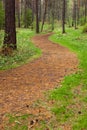 Twisting path in the forest