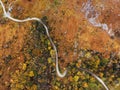 Twisting road in autumn forest