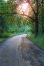 Twisting road in the old wood Royalty Free Stock Photo