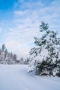 Twisting wood road with snow-covered track Royalty Free Stock Photo