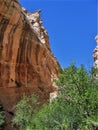 Cottonwood Canyon Narrows