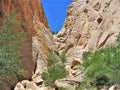 Cottonwood Canyon Narrows